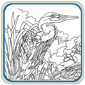 Shorebirds Mantel Patterns – Classic Carving Patterns